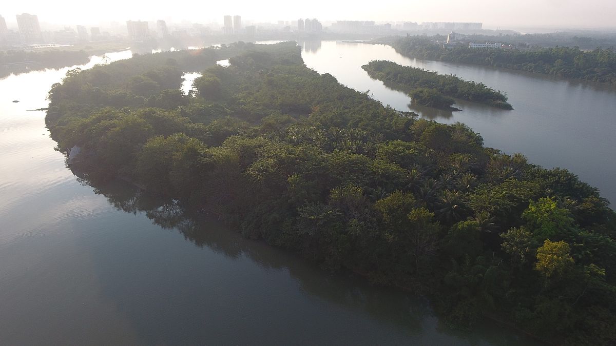 我国不受寒流侵袭的地方有