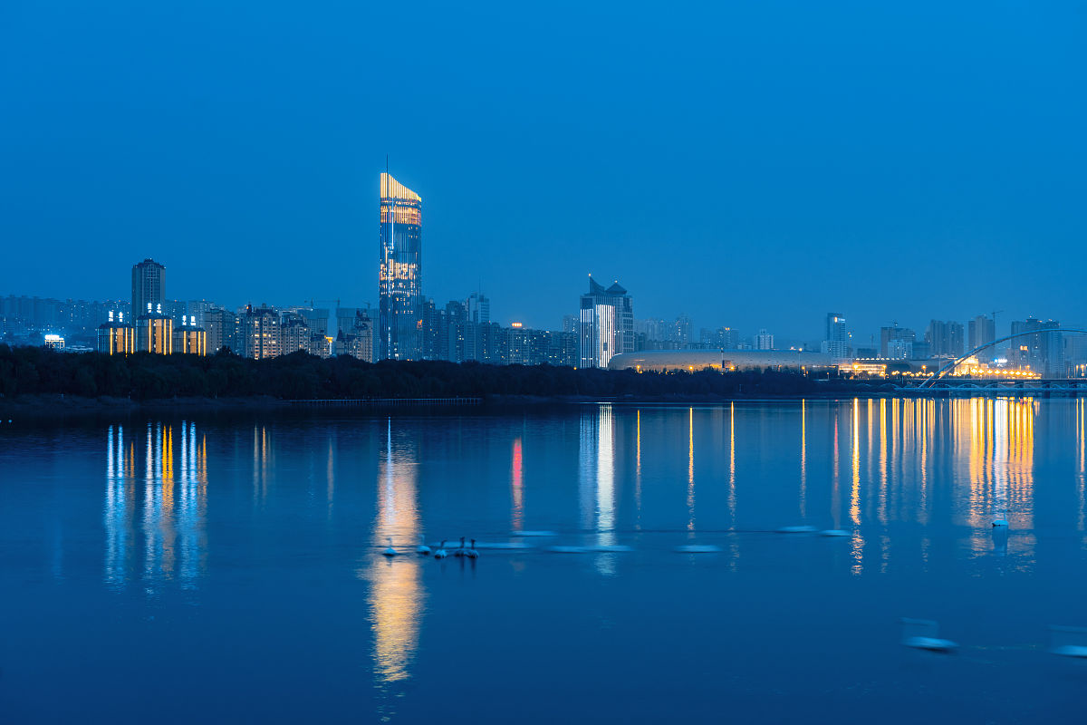 2018年11月17日,河南省三门峡市, 天鹅湖城市湿地公园.