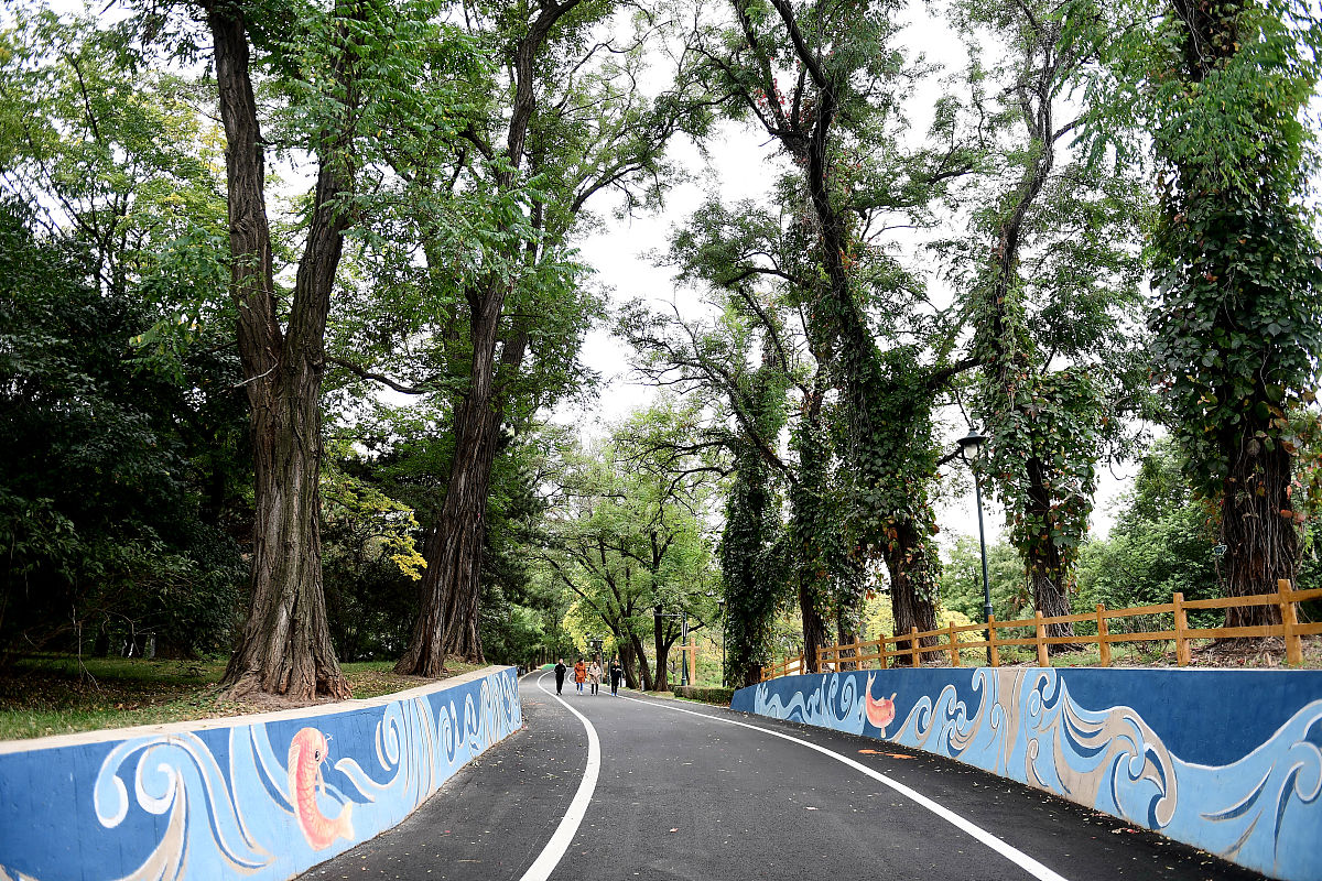 生态修复技术专业前景：就业方向、发展趋势和学习内容