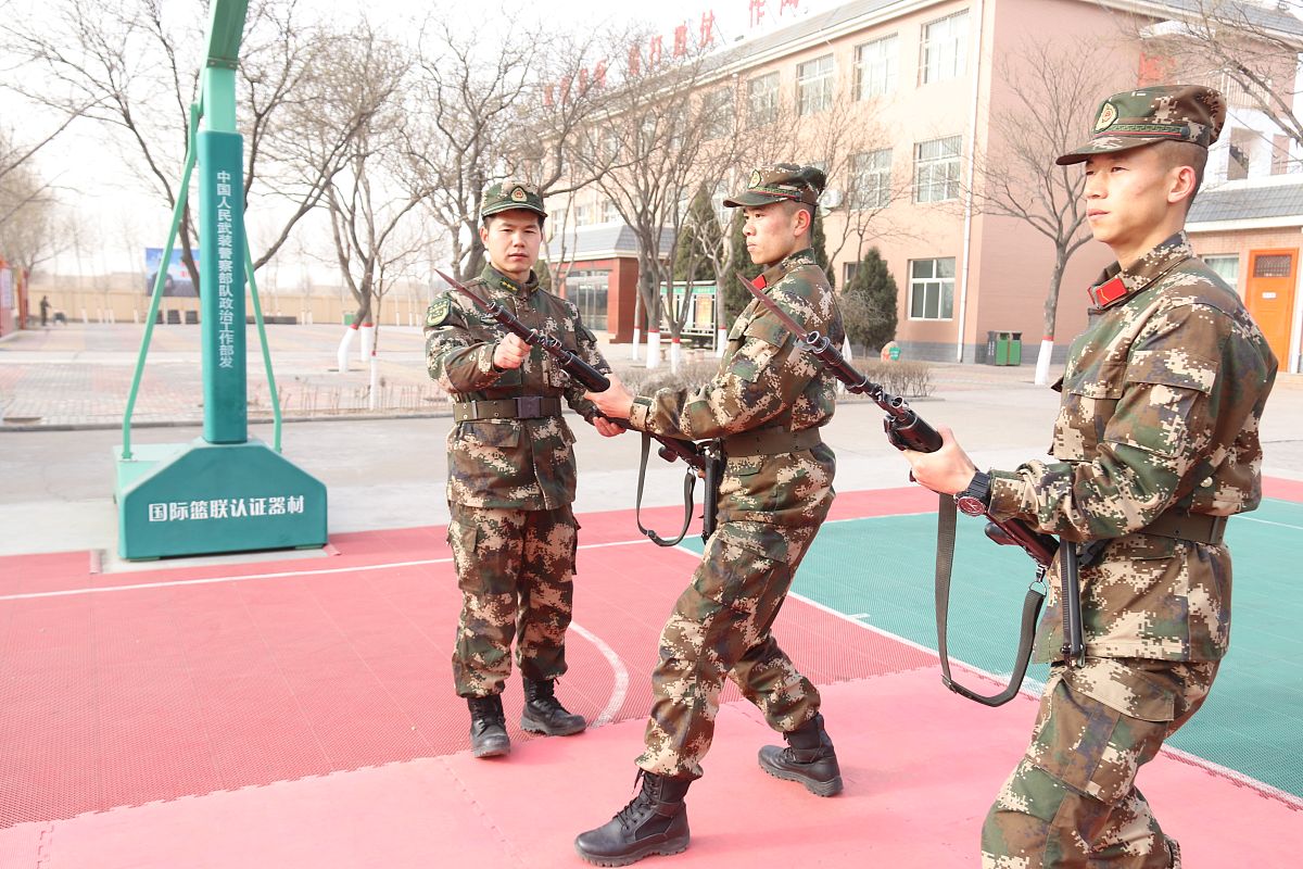 全警实战大练兵：省级定期训练班的热血集结