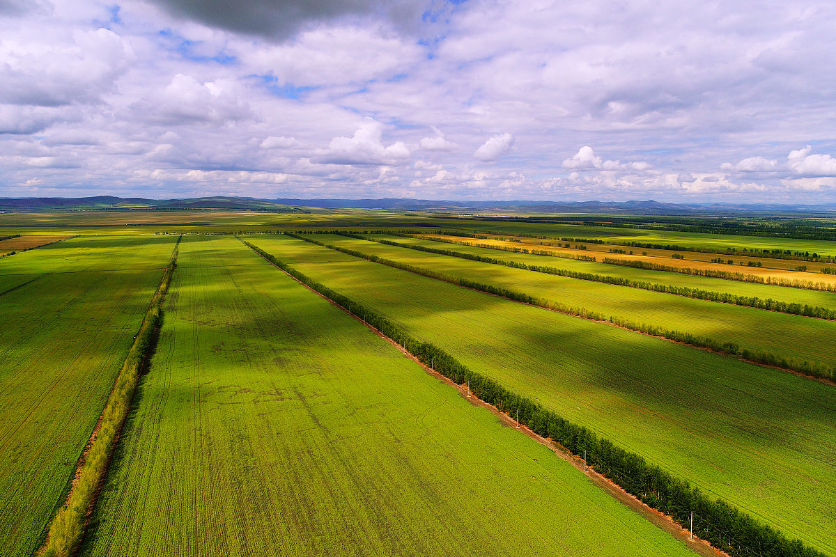 甘肃省农垦中等专业学校五年制大专热门专业推荐：农业技术服务与管理、农业机械化、农产品质量与安全