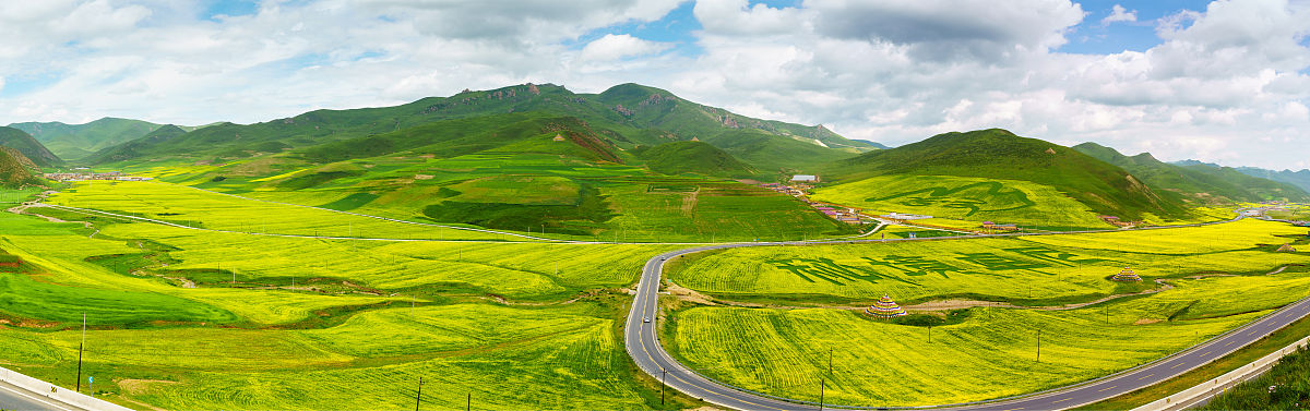 2020年7月8日,甘肃甘南,红山口观景台的油菜花.
