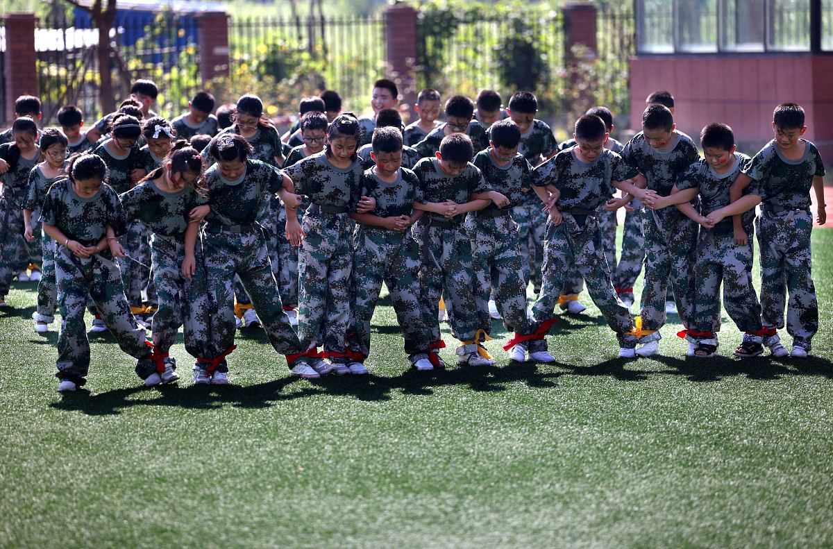 德智体美劳全面发展学生：现实表现与综合素质提升