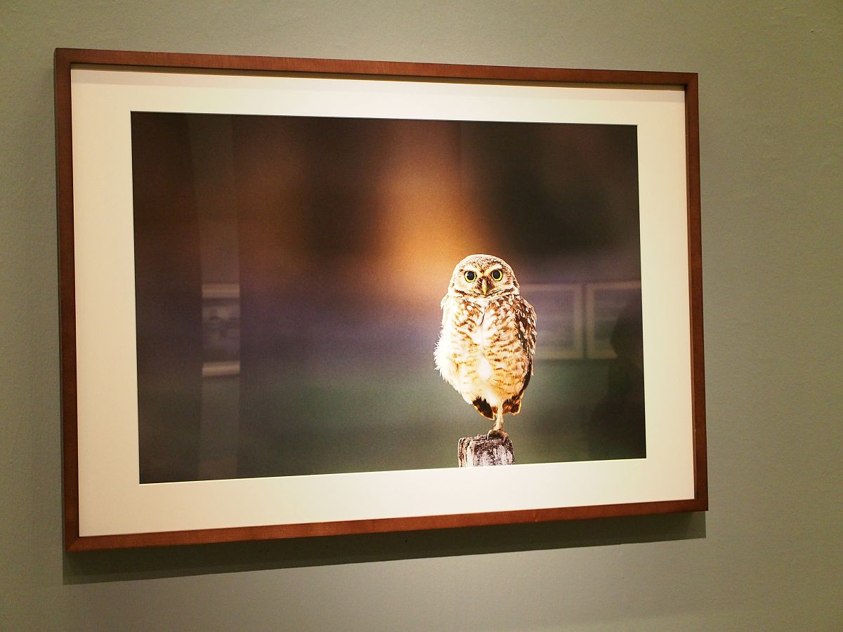 系统自然观、人工自然观、生态自然观：辩证关系与应用