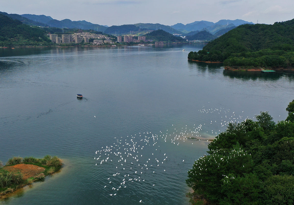 描写人与自然和谐共生的七言诗：七首诗歌展现美好意境