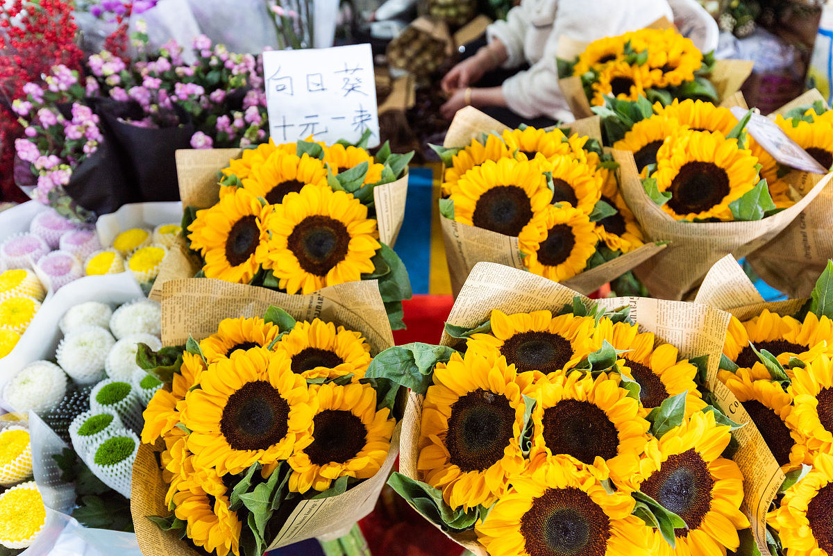 2021年11月1日,昆明斗南花市里种类繁多,价格低廉的鲜花.