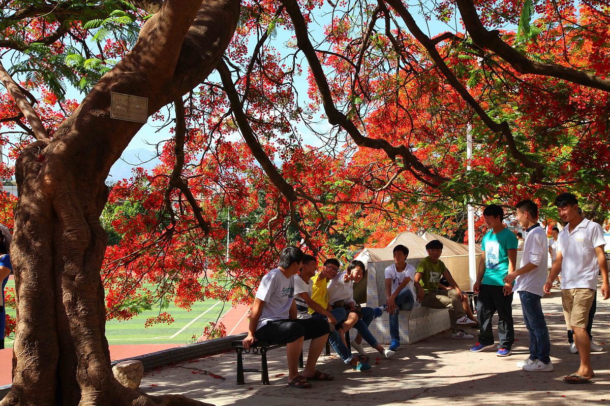 昭通卫生职业学院2023年高职扩招招生政策