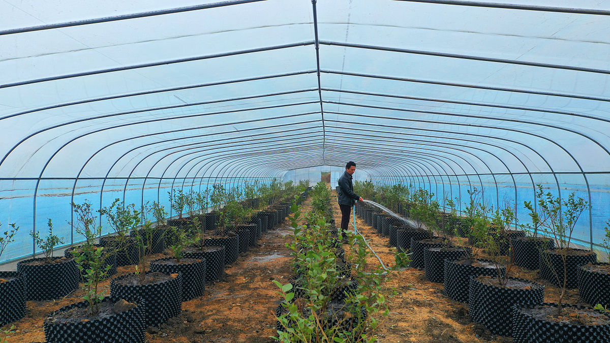 单元复习-选择题（含答案解析）