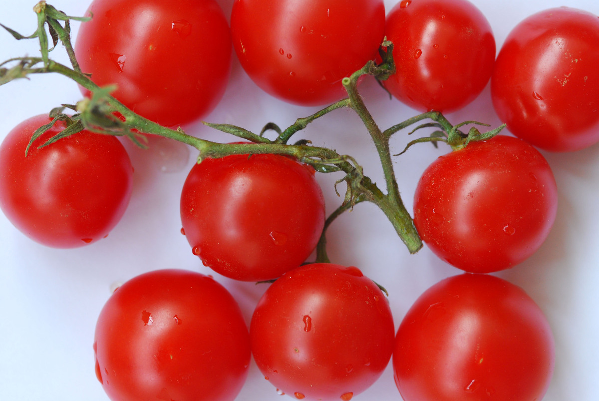 千禧小番茄的功效与作用：增强免疫力、促进消化、降低血压等