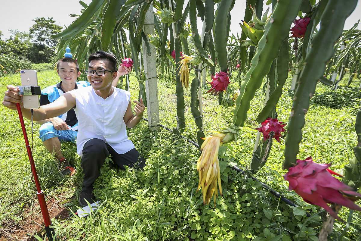 淘宝直播间看不到别人发的字？揭秘玩法和隐藏功能！