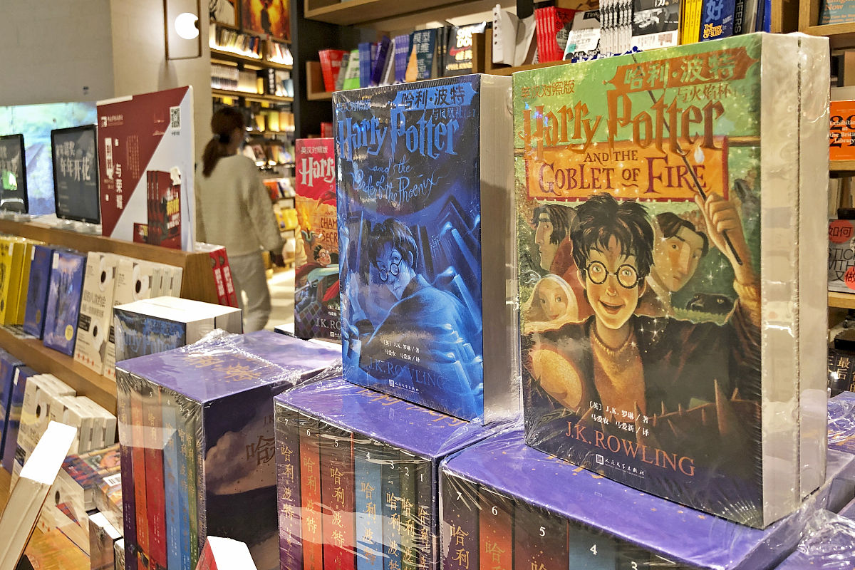 我和书的故事：一个充满魔法和友谊的旅程