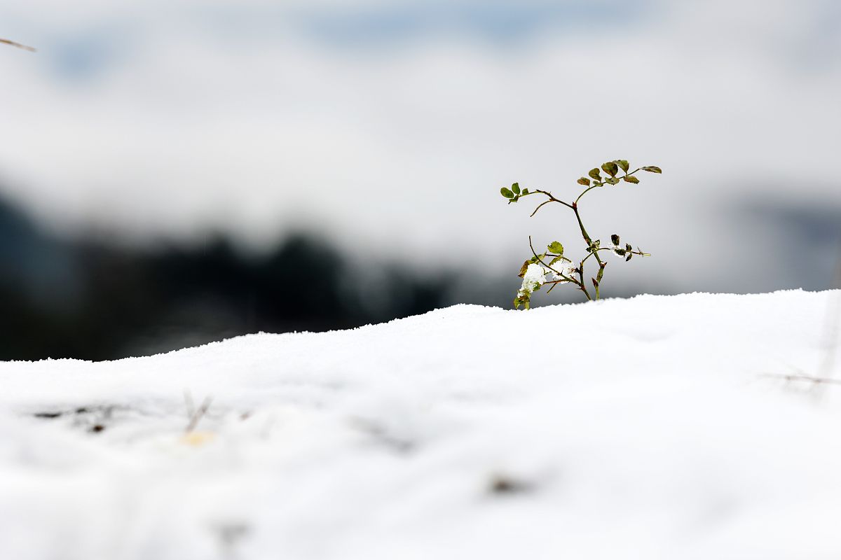 2022年沿河土家族自治中等职业学校招生专业 - 高素质技能人才培养基地