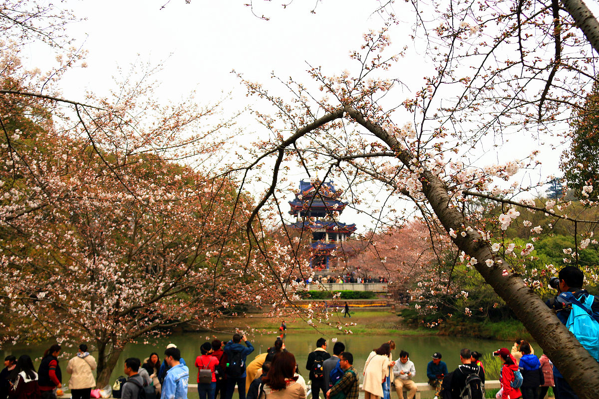 无锡太湖技工学校2021年招生专业 - 培养技能人才的理想选择