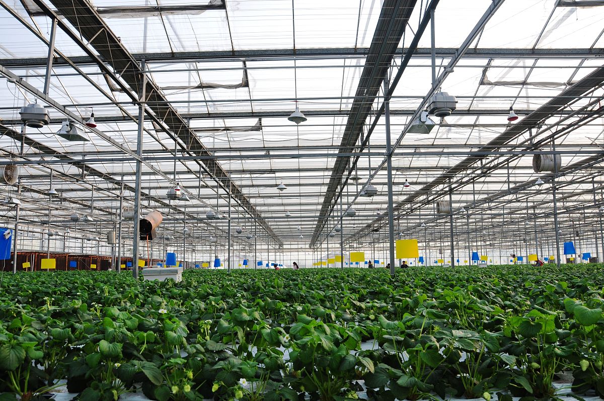 武汉市黄陂区职业技术学校现代农业专业简介