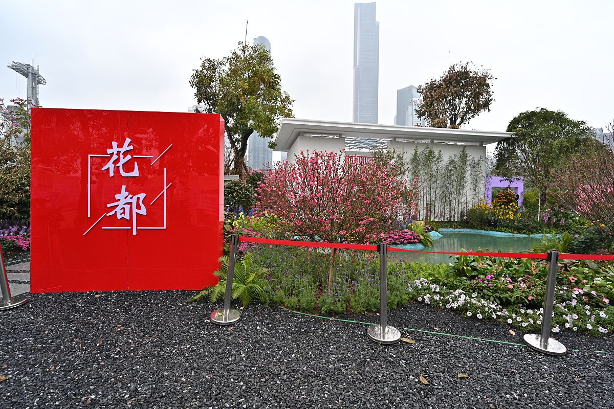 坚定文化自信建设文化强国写一篇300字学习体会