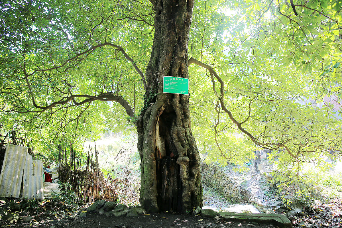 谷城职教中心2021年招生简章 | 高质量职业技能培训