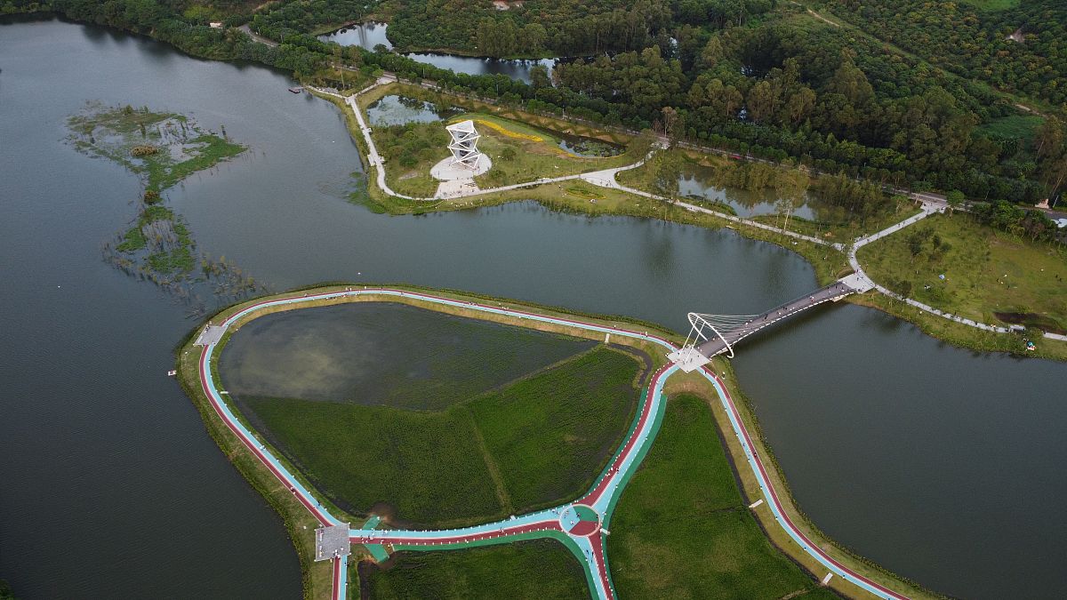 请将制作锦水河入黄口湿地方案汇报ppt写成实践记录报告