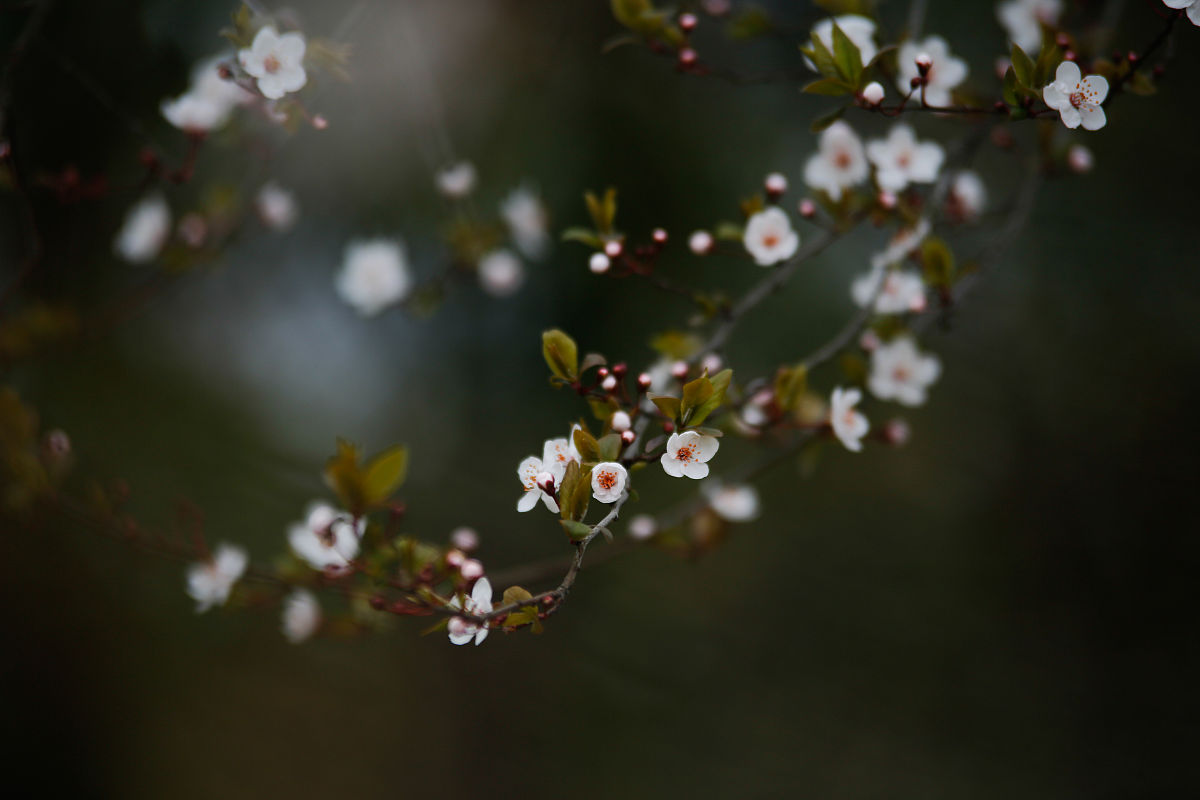 毕节市农业学校酒店服务与管理专业好不好