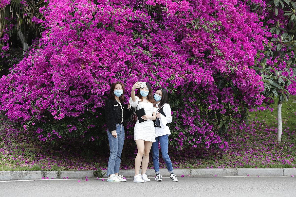 大学生职业发展与就业指导课后总结：5个关键步骤提升竞争力