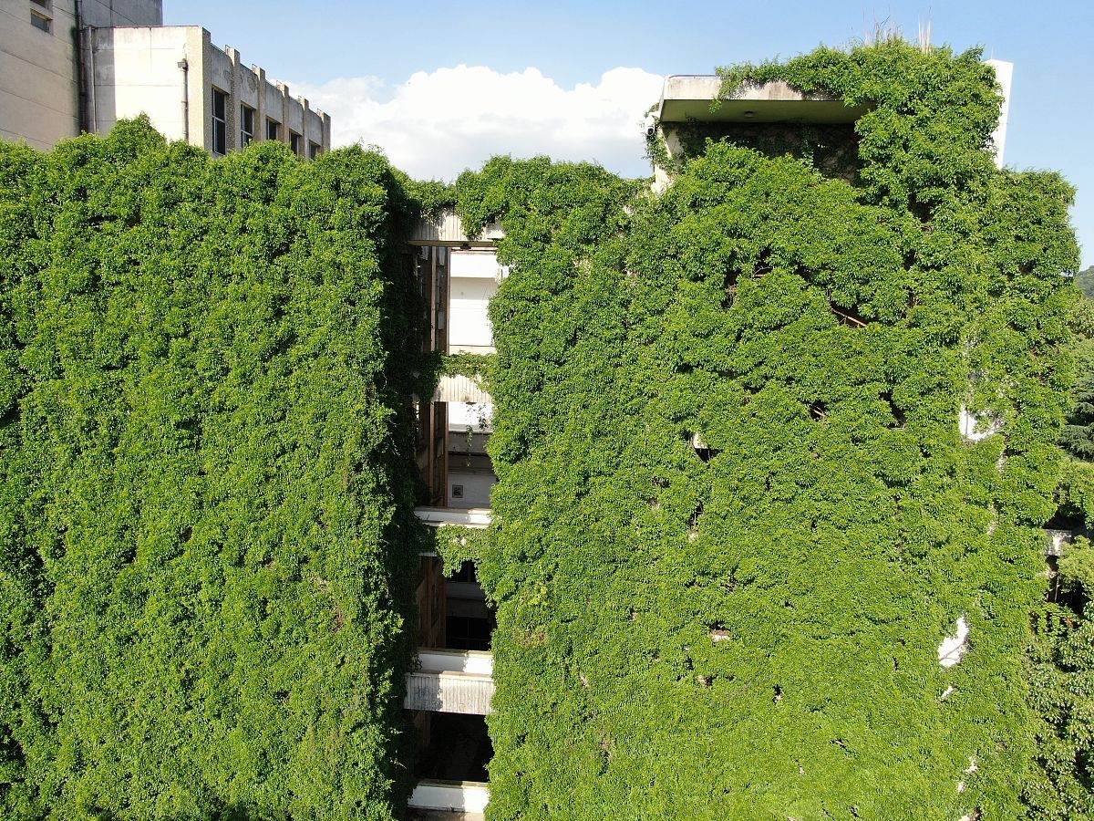 贵阳大专院校计算机专业推荐：哪所学校更适合你？