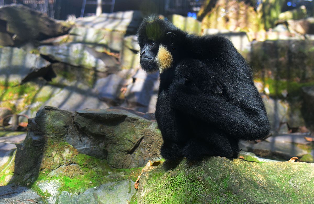 杭州第二机械技工学校2021年招生简章：培养高素质技工人才