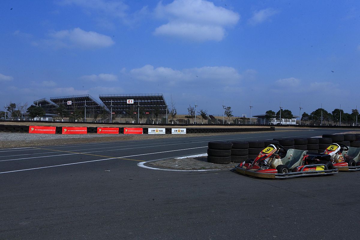 磨砺意志的诗歌：风雨中坚守梦想