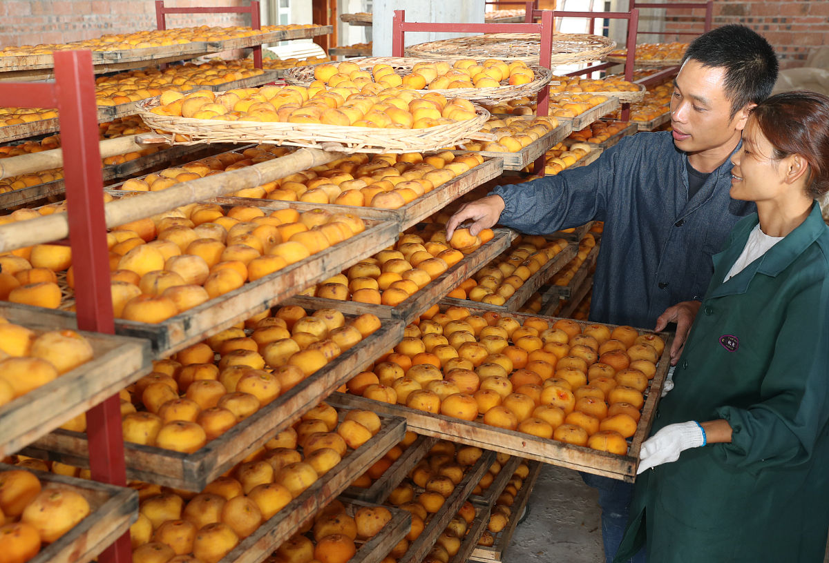 枇杷产业链深度整合：从种植技术到饮料生产，实现上下游无缝连接