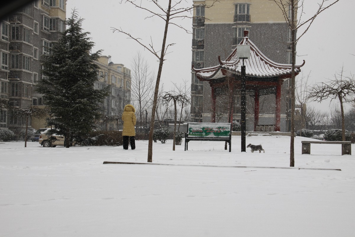 北京南部一小区里已被大雪覆盖.