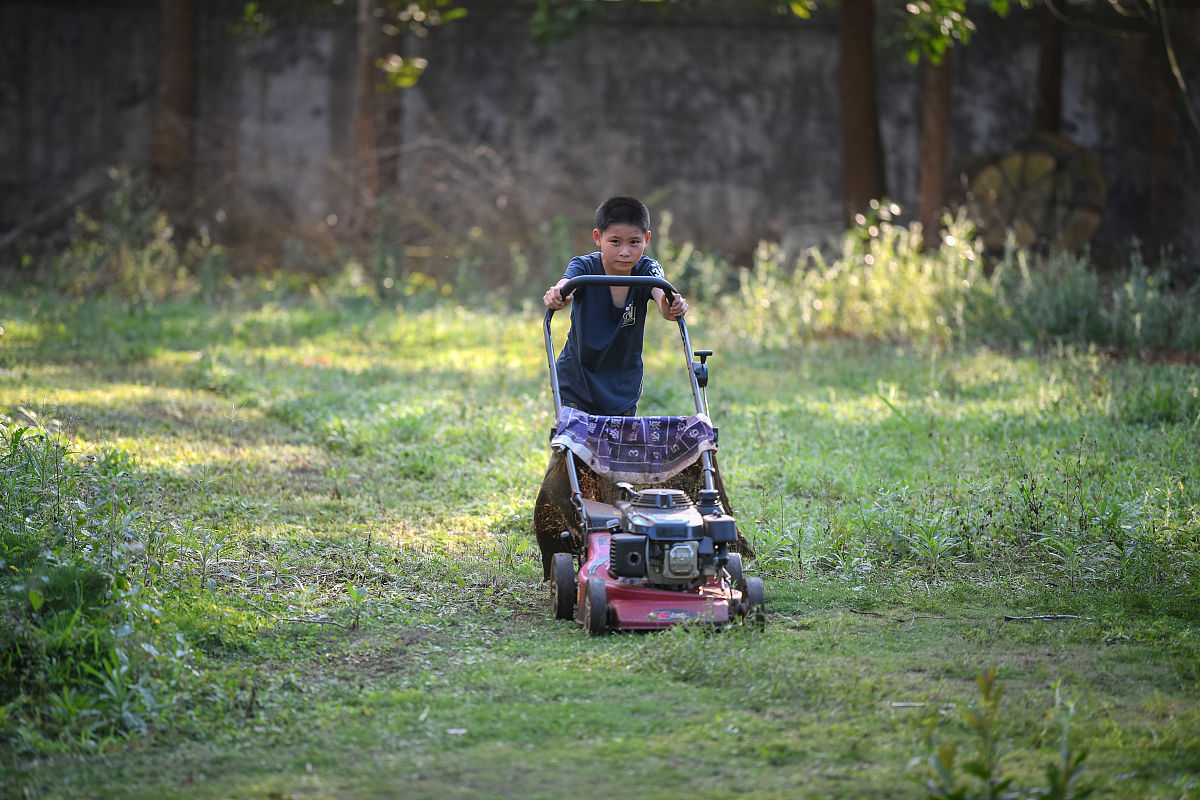 云南曲靖农校2019年五年一贯制普通高职最新招生信息