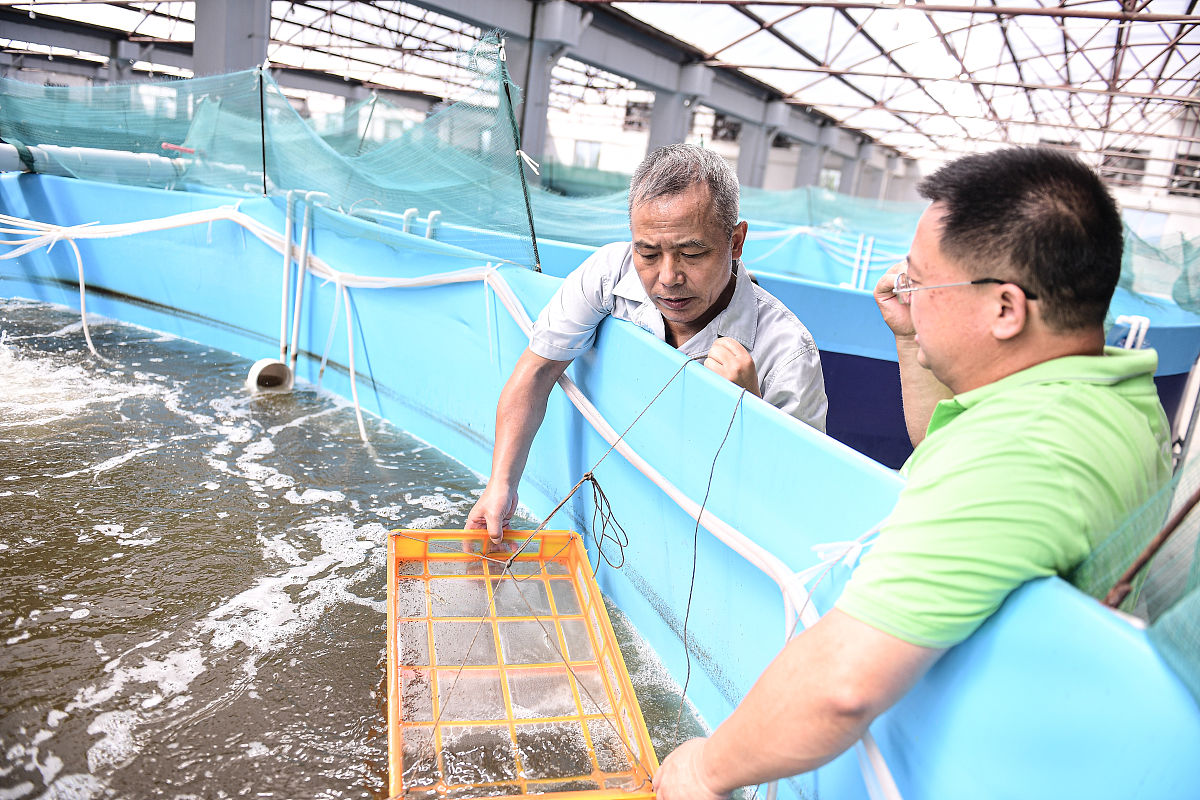 沈阳农业大学动物科学专业怎么样？优势、不足及就业前景分析