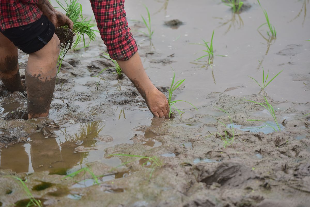 重庆农业机械化学校招生电话 - 专业农业机械化人才培养基地