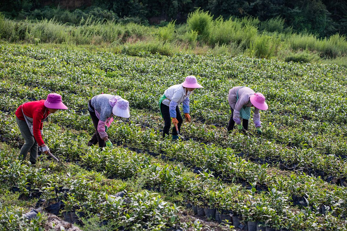 贵州康复护理专业院校哪个好用