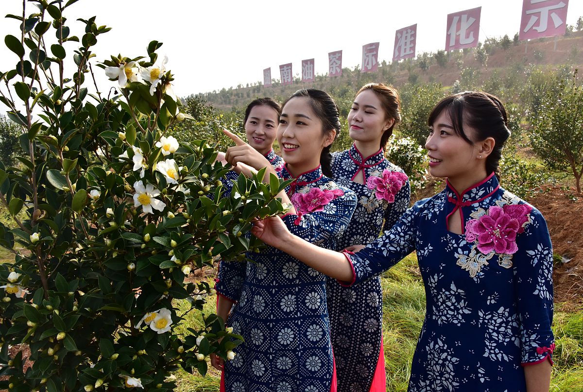 标准化开始能体现出学生水平为题目写一篇3000字作文