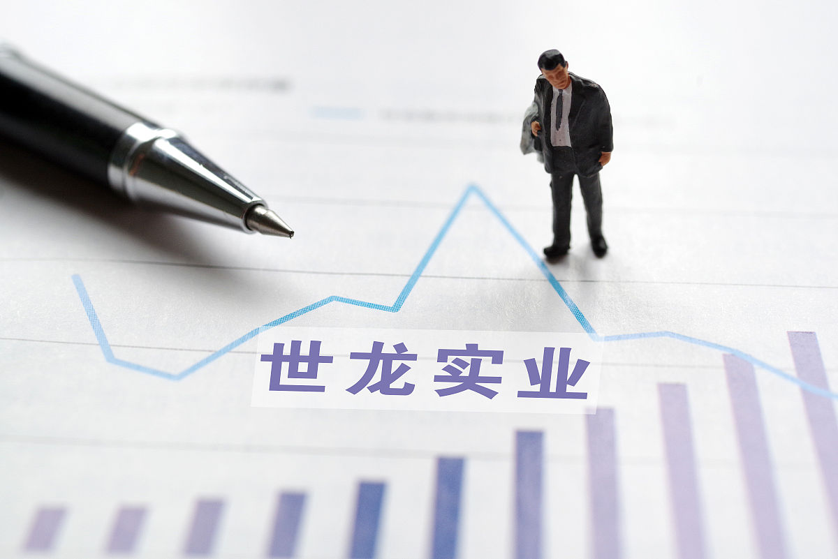 商业配图:世龙实业