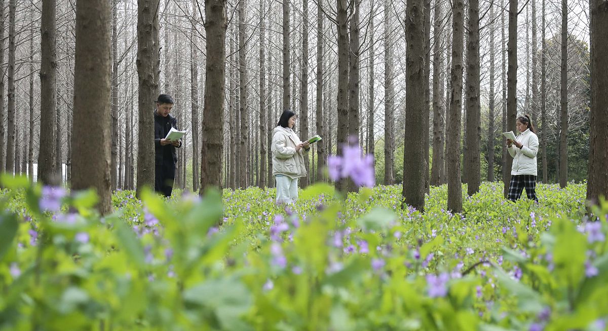 自贡市电子信息职业技术学校2020年招生简章