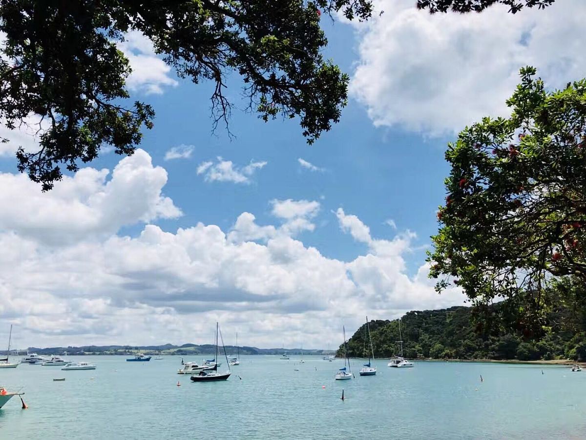 犯罪嫌疑人外逃概率分析：贝叶斯定理应用