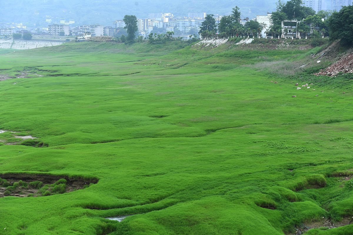 2020年重庆卫生学校招收学生