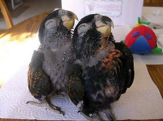 开心一刻：分享你的快乐！