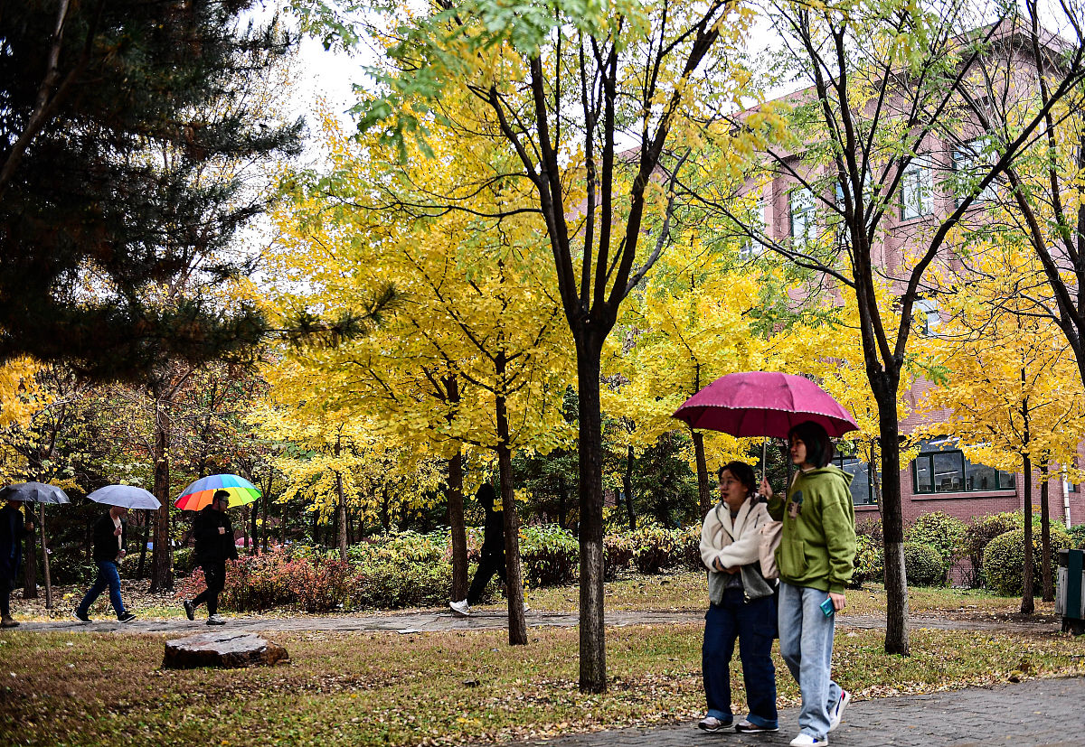 2020年10月21日,受冷空气影响,沈阳降雨降温,行人冒雨出行.时下正是沈