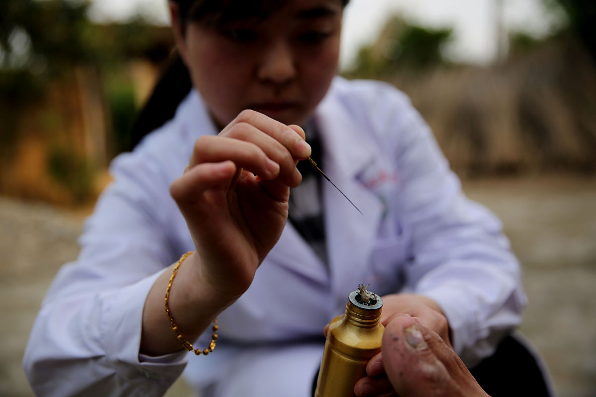 湖北中医药大学针灸推拿学专业培养目标_就业方向