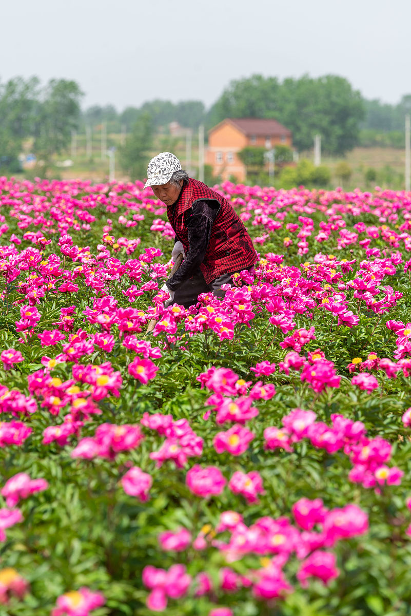 2023年蕲春李时珍中等专业学校招生专业有哪些？ - 好不好？