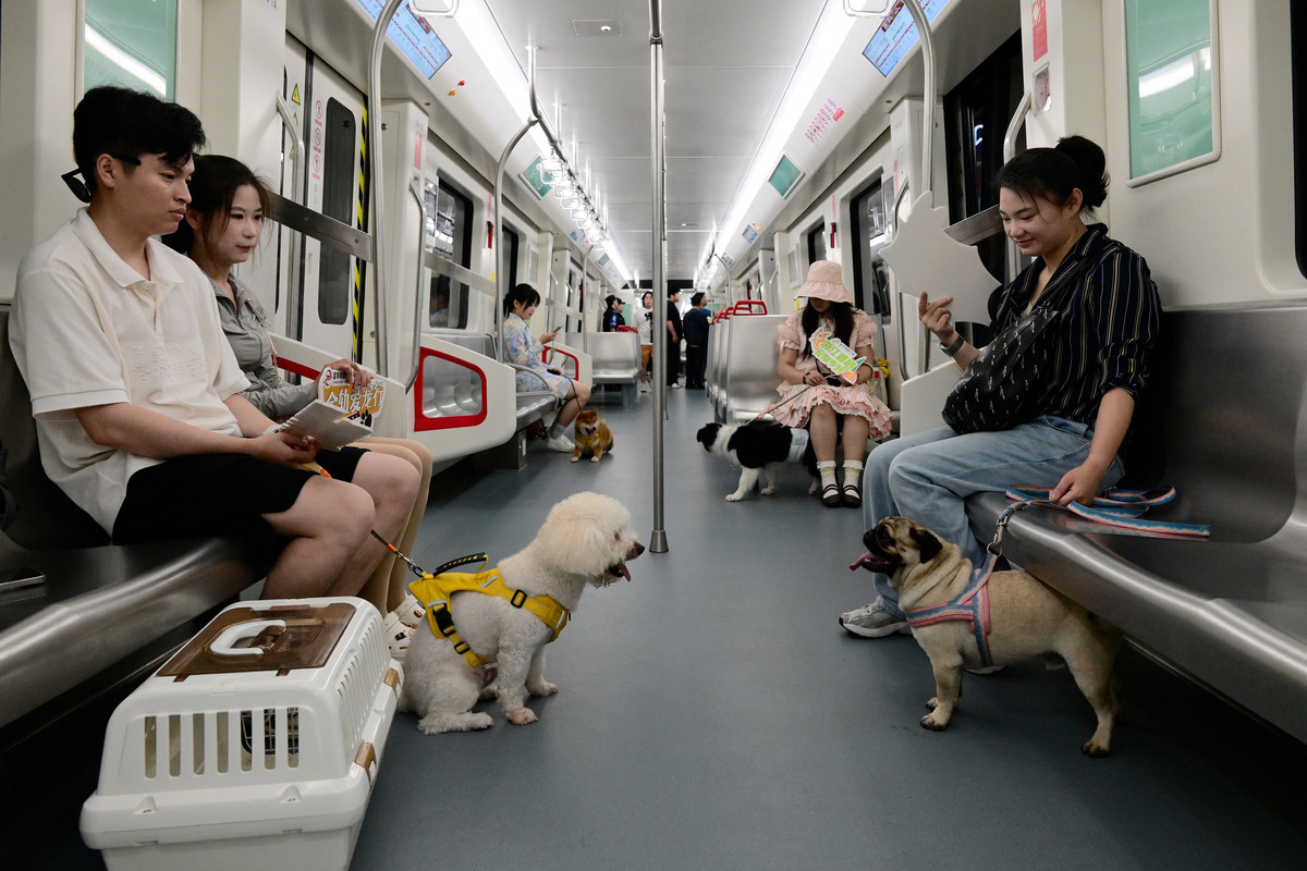 融合多元数据的澳门轻轨客流分析及建模研究: 揭示出行特征与城市建成环境的关系