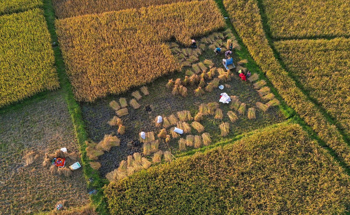 贵阳市城乡建设学校具体位置在哪儿、如何乘车
