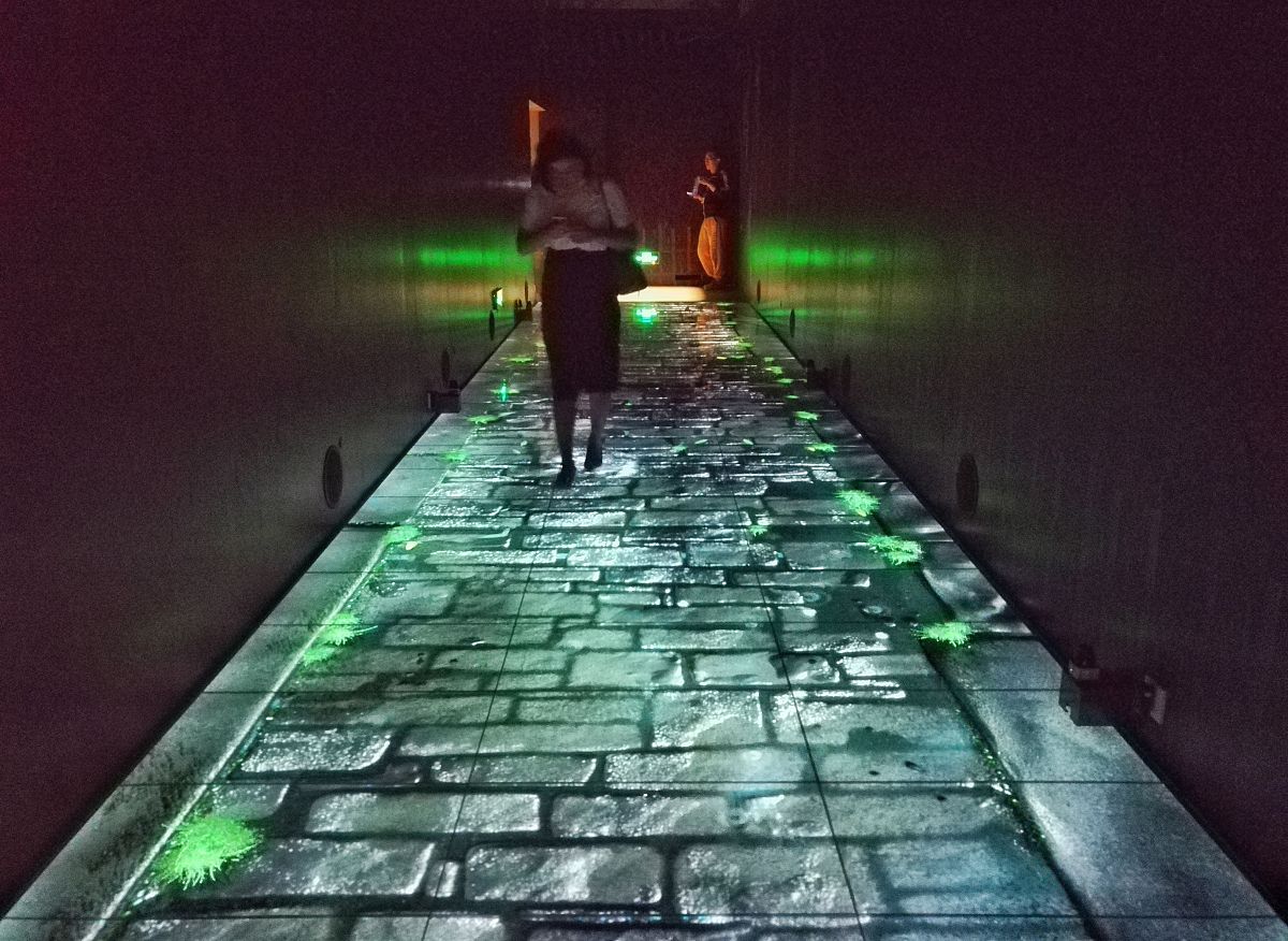 泰州市凤凰艺术学校招生办电话 - 2022年最新联系方式