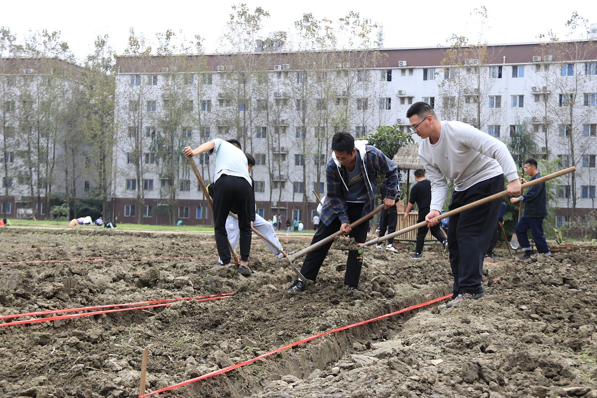 云南经济管理学院康复护理学院医学检验技术怎么样