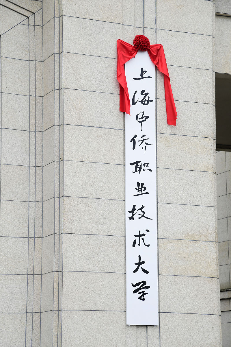 河北中专卫校升读大专指南：途径、标准及发展建议