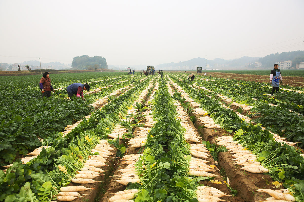 湖南衡阳县教师进修学校是公办吗？招生专业有哪些？