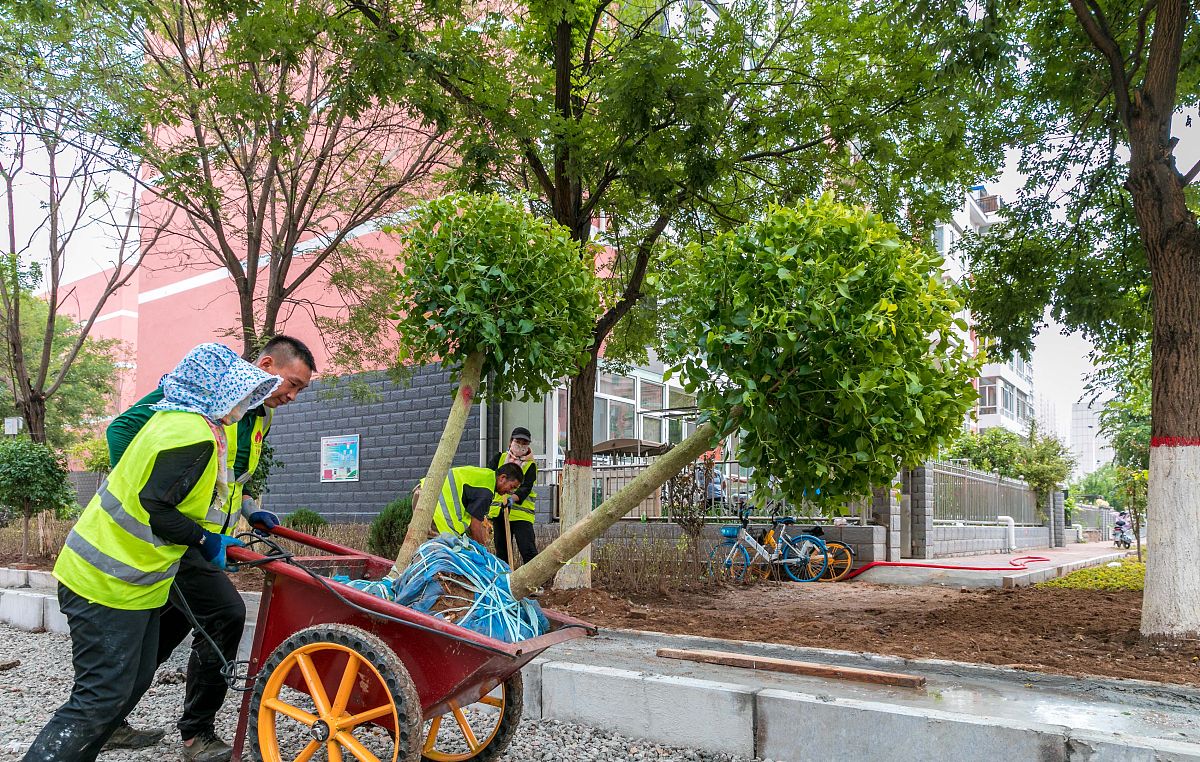 老旧小区改造项目居民参与意愿：提升项目成功率的关键