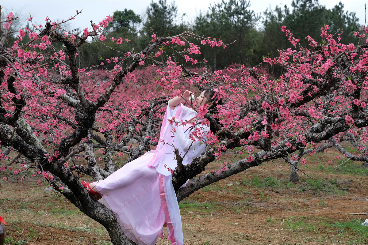 广东连州卫生学校2023年招生专业-护理、医学影像、口腔医学等