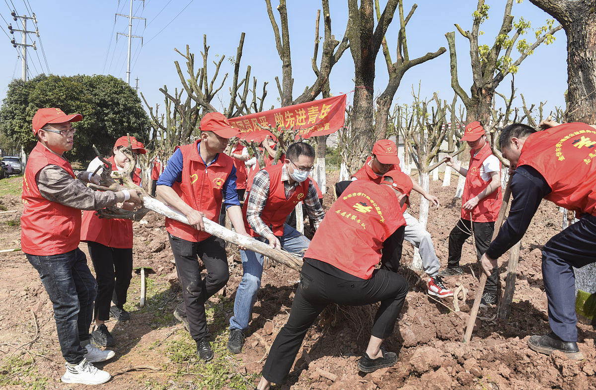 仿照以下对话写一段的活动回顾通过组织负责人的安排志愿者们各司其职分工协作分发防火宣传单宣讲防火知识山区巡逻为消除森林安全隐患贡献力量。150字以内